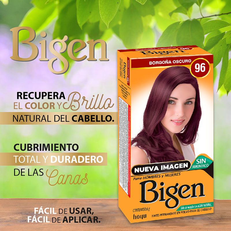 tinte-bigen-96-borgona-oscuro-caja-x-6-gr