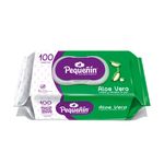 panitos-humedos-flat-pack-aloe-paquete-x-100-unidades-pag-70-llle-100-familia