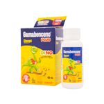 champu-gamabenceno-plus-permetrina-1--frasco-x-60-ml-emulsion-bussie