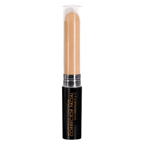 Corrector Facial Kaloe Color Oscuro 2 Gr Ana María