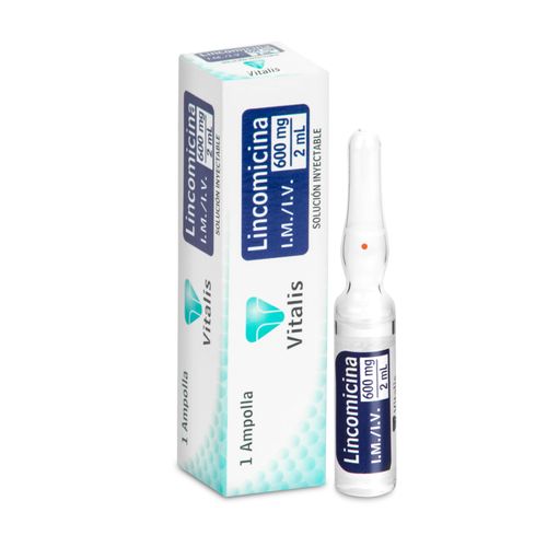 Lincomicina 600 Mg/2 Ml Caja X 1 Ampollas Vitalis