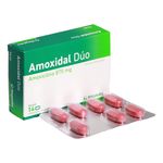 Amoxidal Duo 875 Mg Caja X 14 Comprimidos