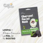 mascarilla-facial-de-carbon-bigen