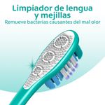 Cepillo Colgate + Crema Total 75 g Pack