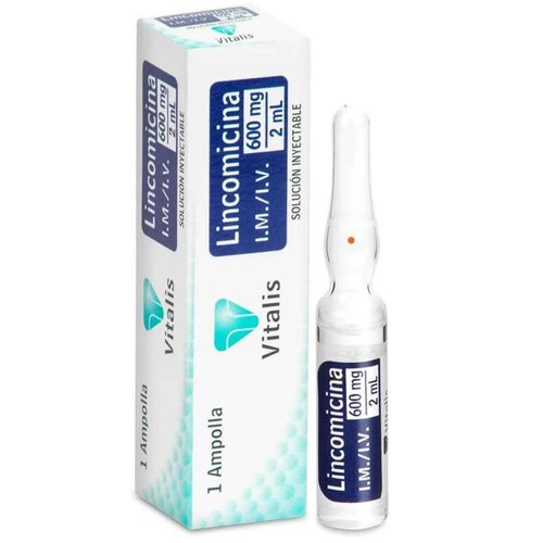 Lincomicina 600 Mg/2 Ml Caja X 1 Ampollas Vitalis