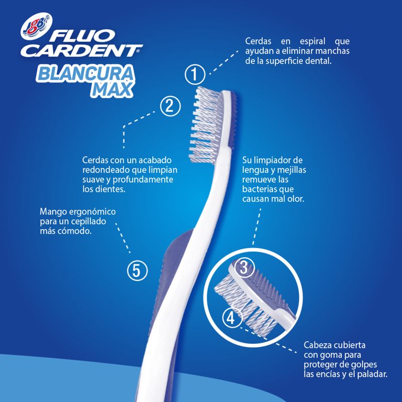 Cepillo Fluocardent Blancura Max pack 2 JGB