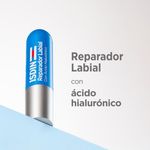 Reparador Labial Isdin Stick Frasco X 4 Gr