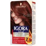 Tinte Igora Vital Rubi Estuche 6-88+Tubo