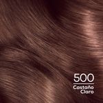 Casting Creme Gloss Castaño Claro 500