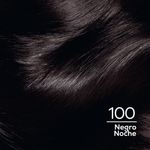 Casting Creme Gloss Negro 100 Caja 45 Gr