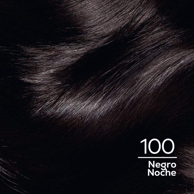 Casting Creme Gloss Negro 100 Caja 45 Gr