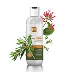 Shampoo Romero Y Quina Pili 250Ml San Jorge