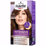 Palette Intensive Chocolate Oro 6-60 Semikit
